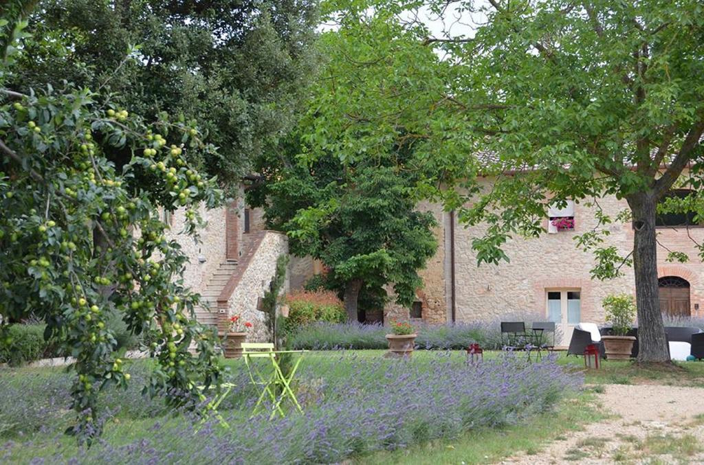 Agriturismo La Segolina Colle Val D'Elsa Exterior foto