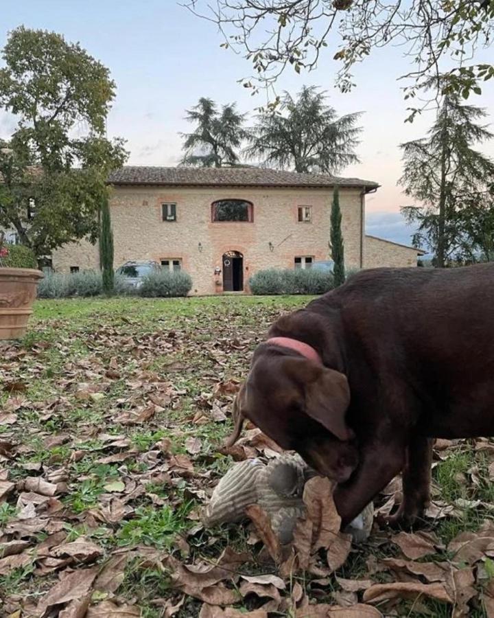 Agriturismo La Segolina Colle Val D'Elsa Exterior foto