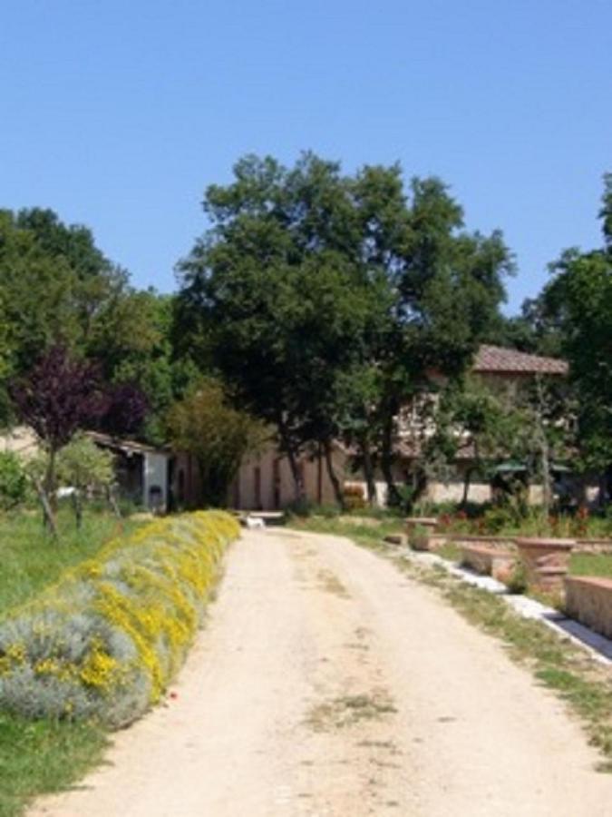 Agriturismo La Segolina Colle Val D'Elsa Exterior foto